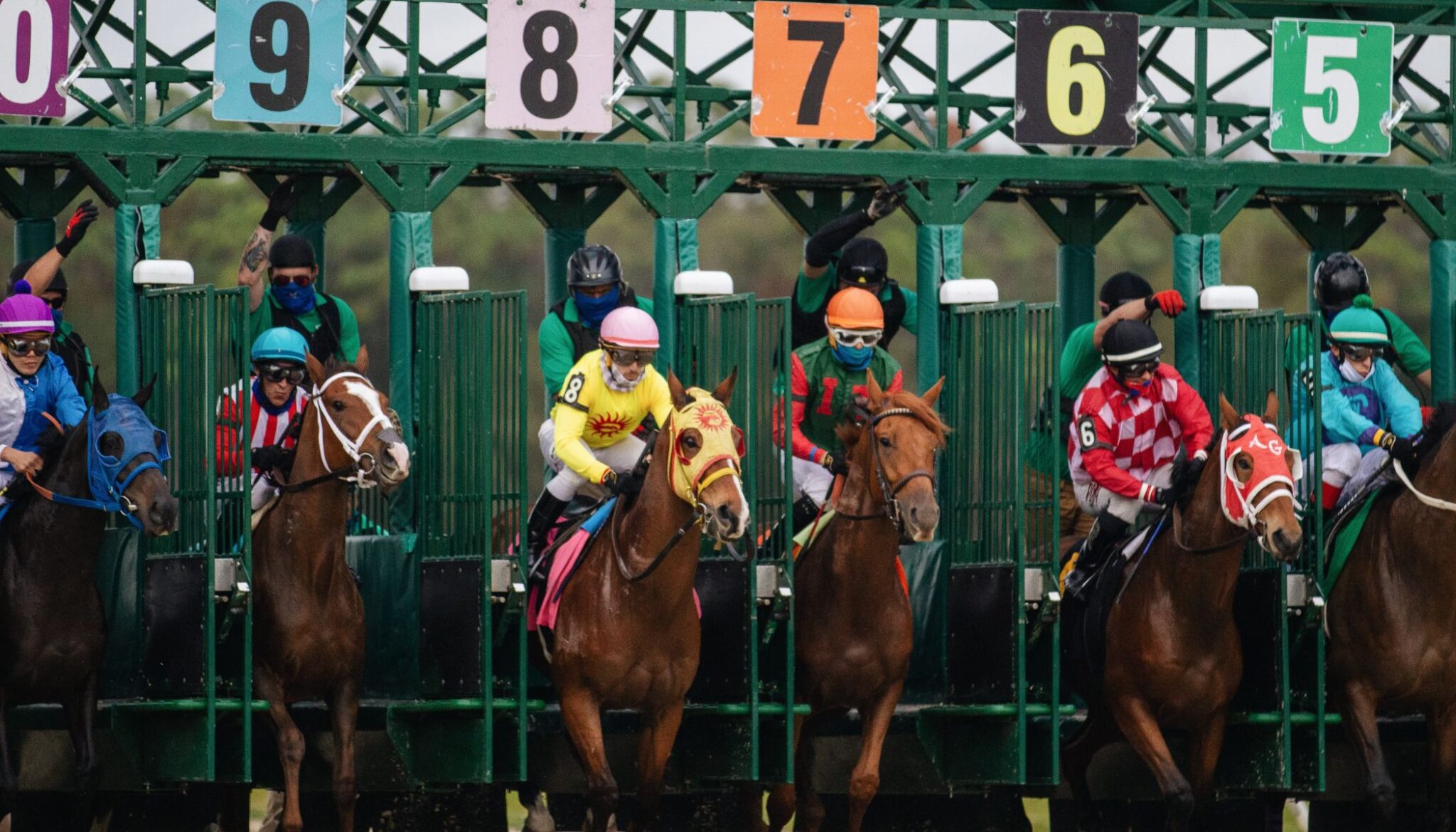 Using the Best Betting Tools Will Improve Your Horse Racing Betting Experience